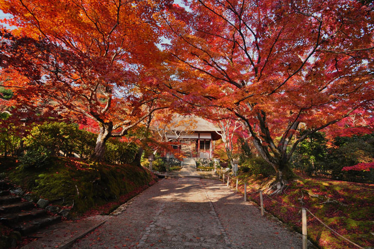 嵐山紅葉