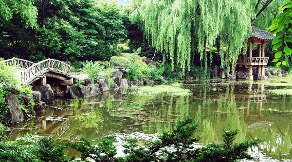 碧草池文化樹木園