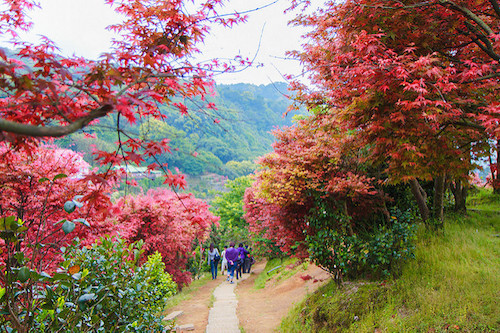 陽明山國家公園