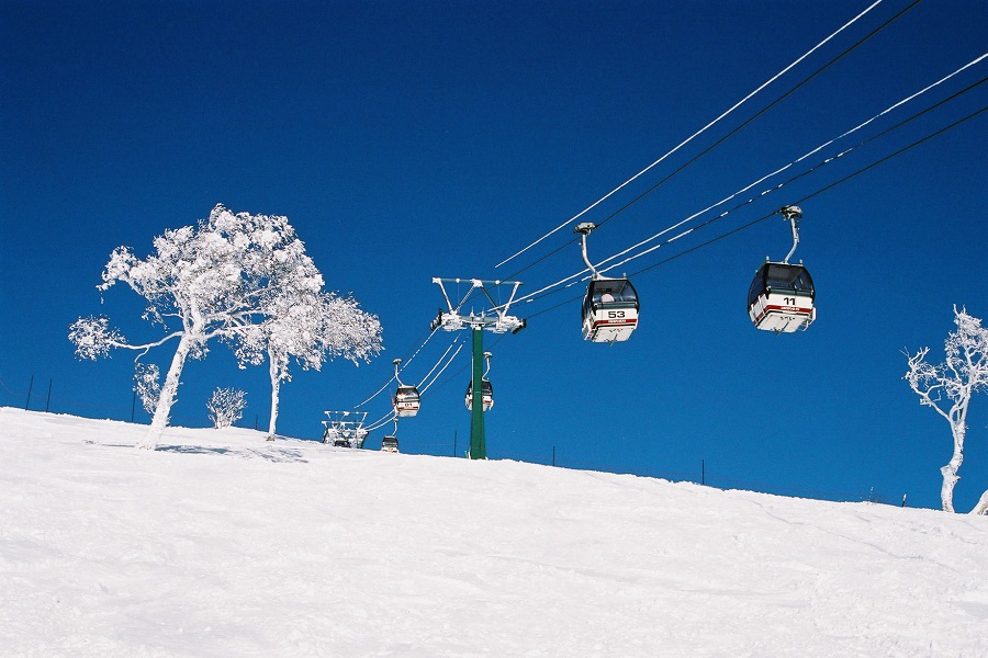 富良野滑雪場