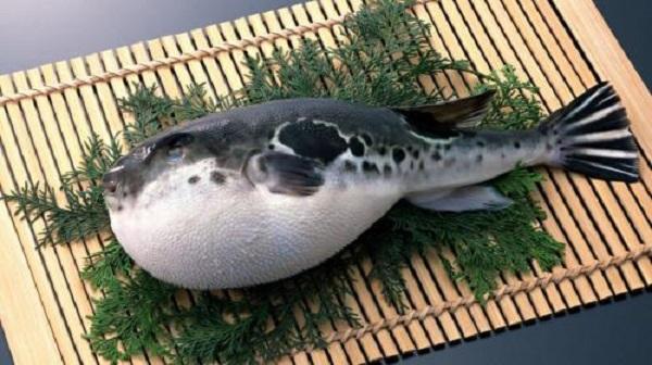 河豚料理