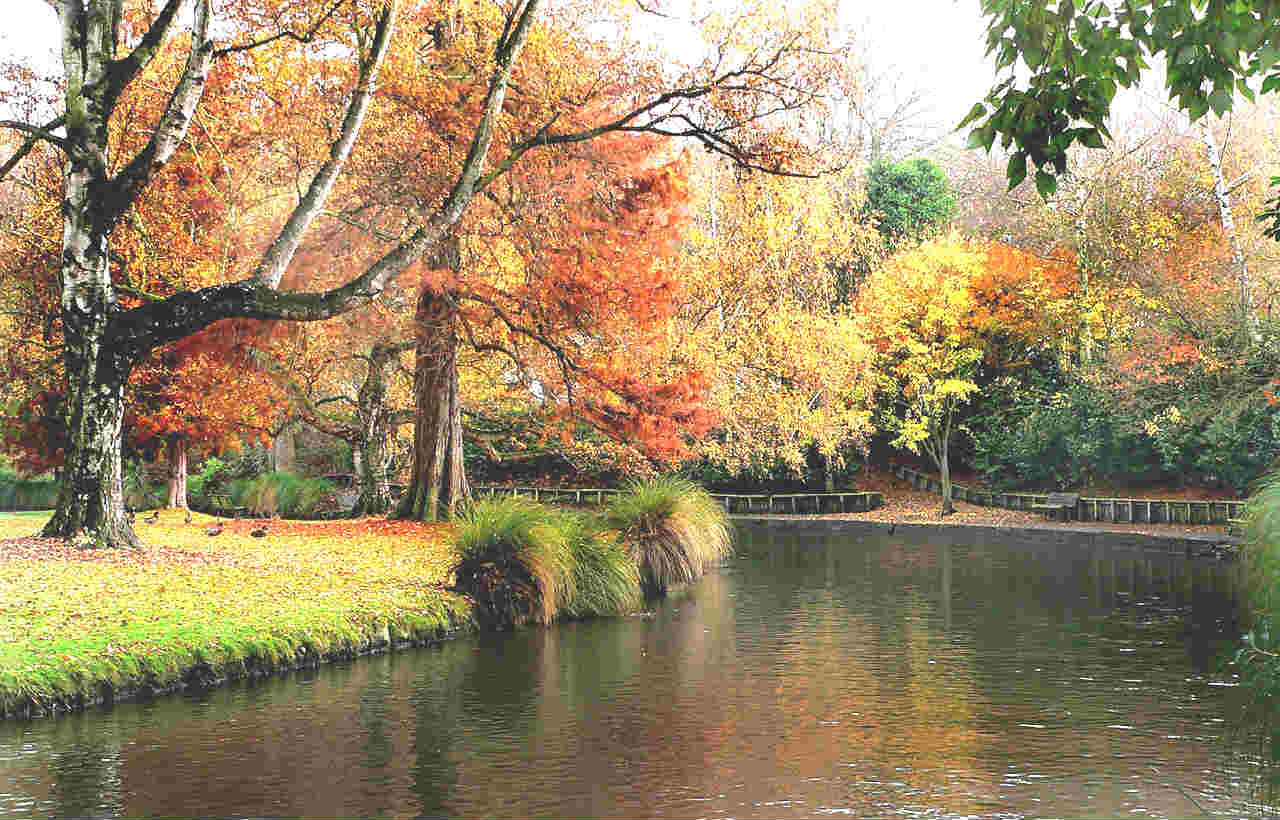 雅芳河