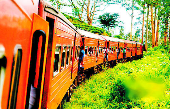 斯里蘭卡必搭乘的兩條最美火車線路