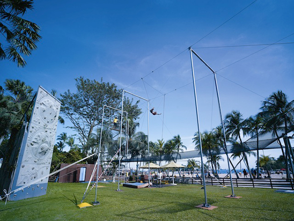 The Flying Trapeze