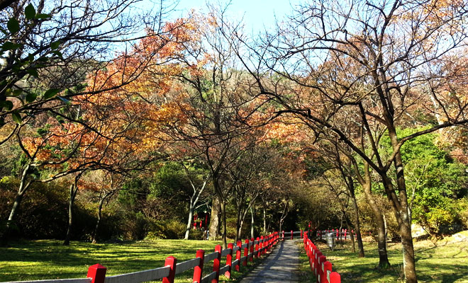 陽明山國家公園