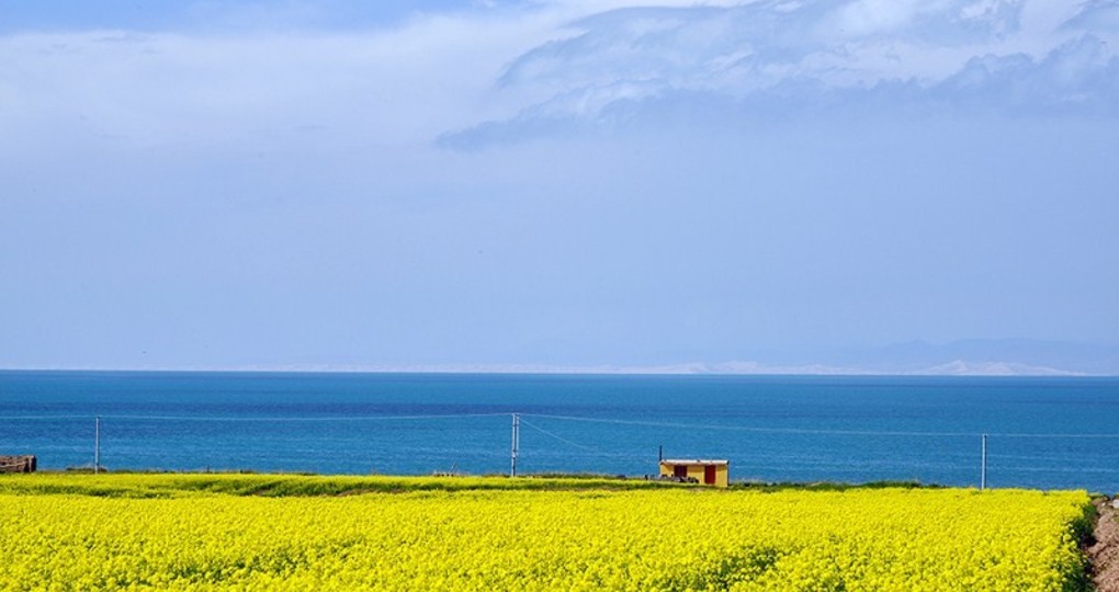 青海湖