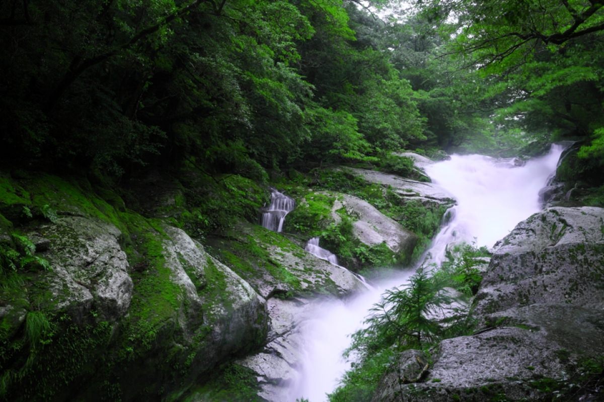 屋久島