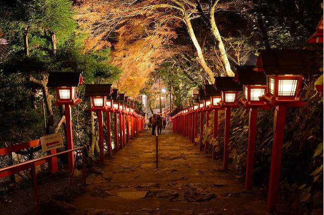 京都賞楓最特別路線