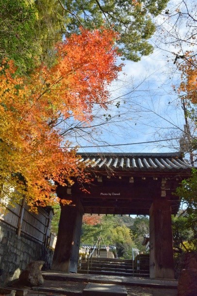 京都