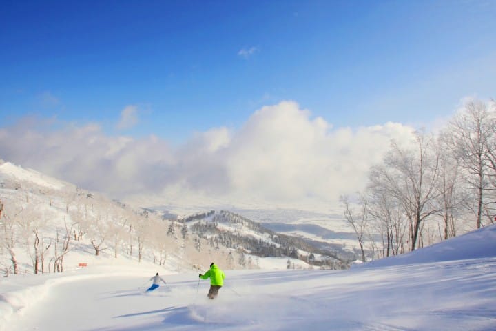 富良野滑雪場