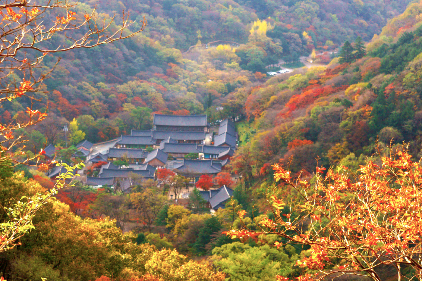 白羊寺 紅葉