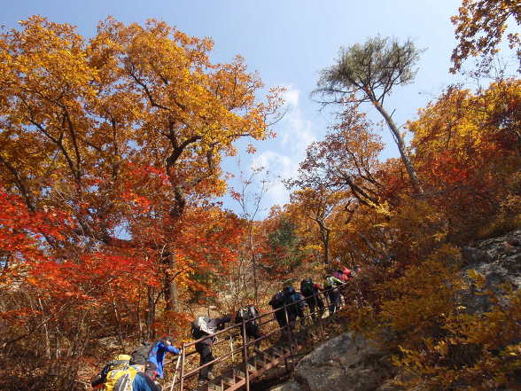 雪嶽山紅葉