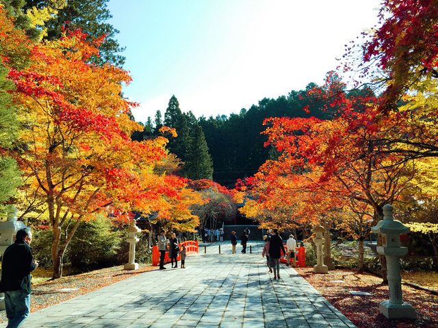 和歌山紅葉