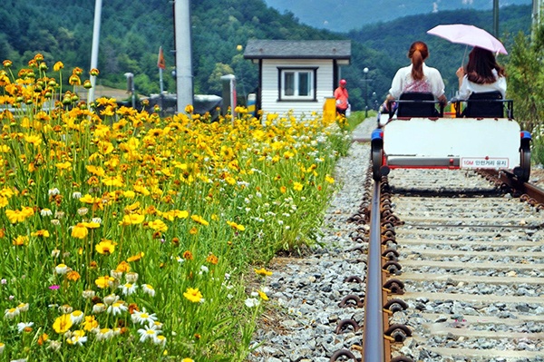 江村Rail Bike鐵路單車