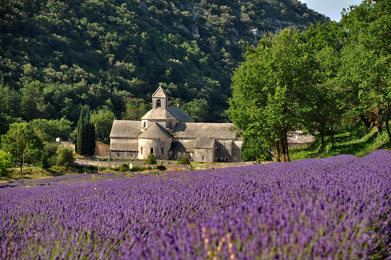 Abbaye de Senanque