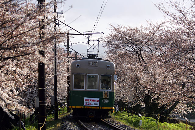 京都4大在地電車路線推薦