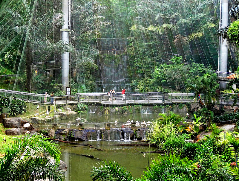馬來西亞行攻略行程：吉隆坡 飛禽公園KL Bird Park Travelliker 愛遊人