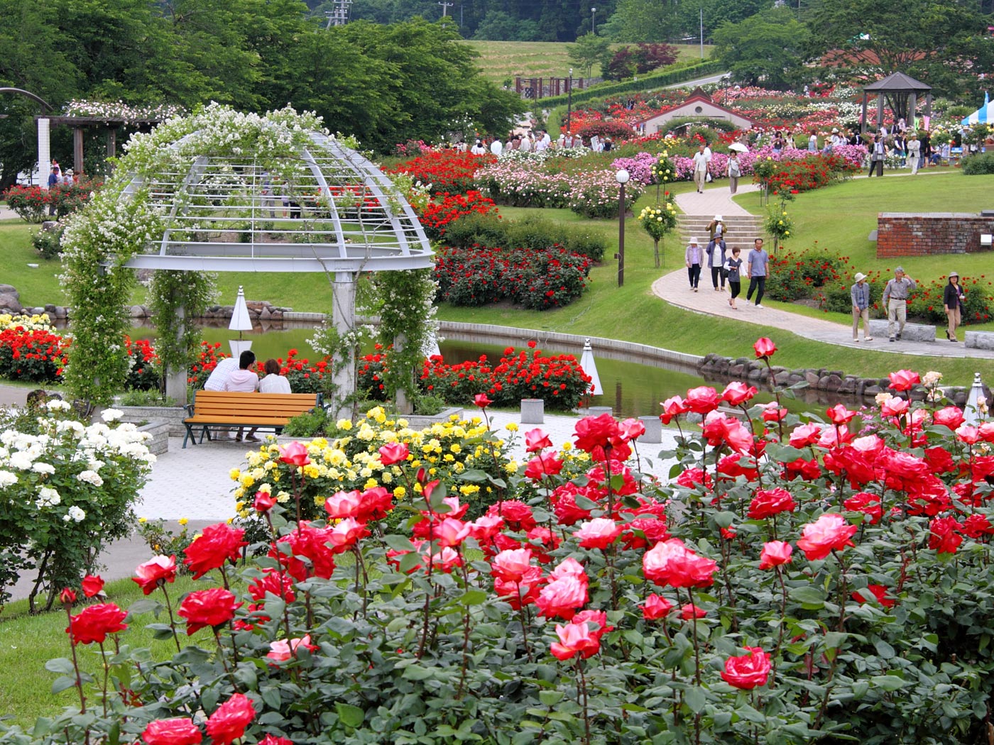 日本 賞花 花園