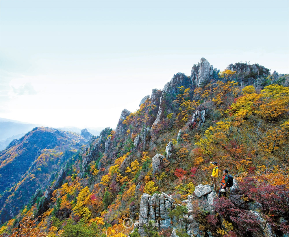 雪嶽山紅葉