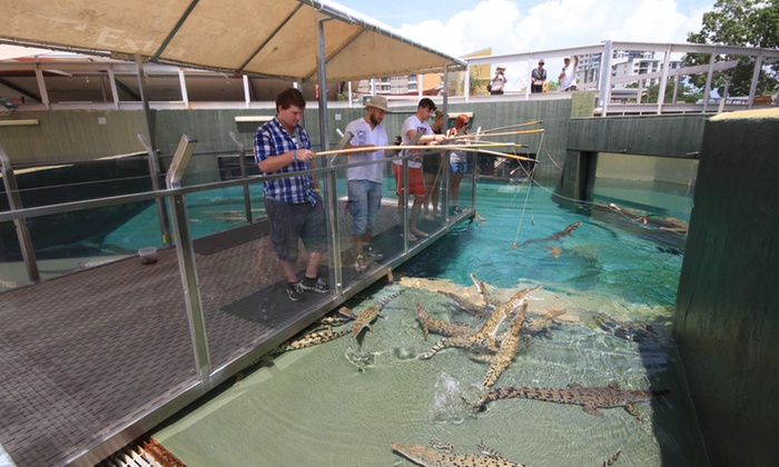 達爾文鱷魚主題公園