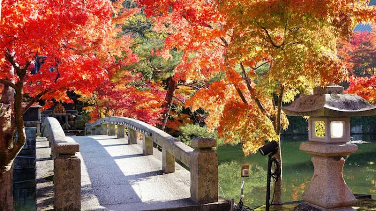 禪林寺