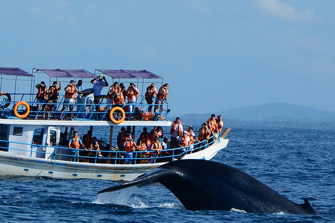 斯里蘭卡9大度假海灘推薦