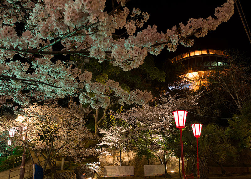 千光寺公園 