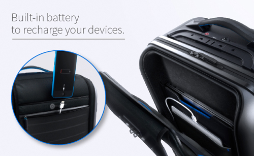 Bluesmart luggage
