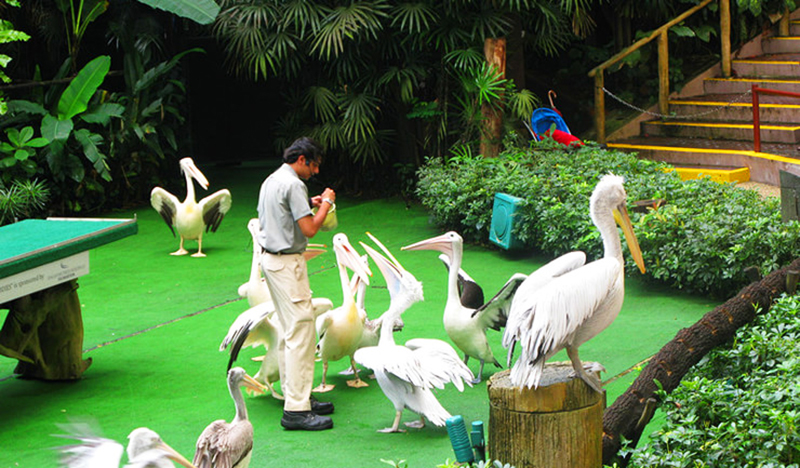 馬來西亞行攻略行程：吉隆玻 - 飛禽公園KL Bird Park