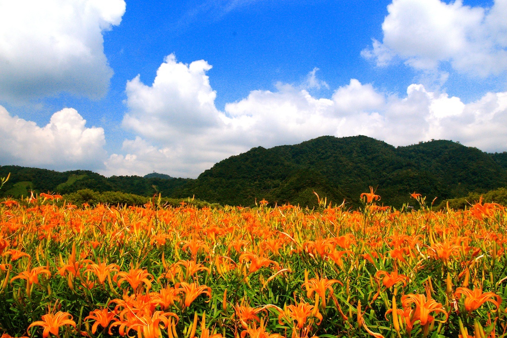 花蓮 六十石山