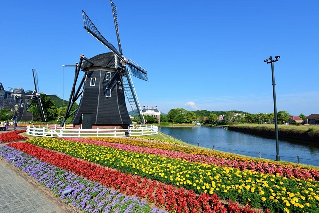 日本 賞花 花園