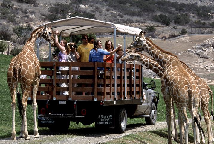 Safari World 野生動物世界