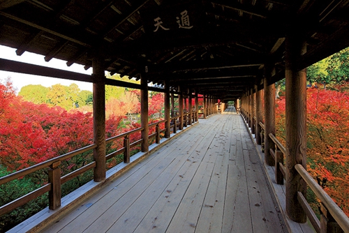 東福寺 京都賞紅葉