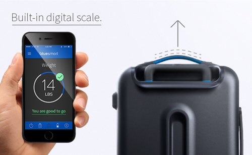 Bluesmart luggage