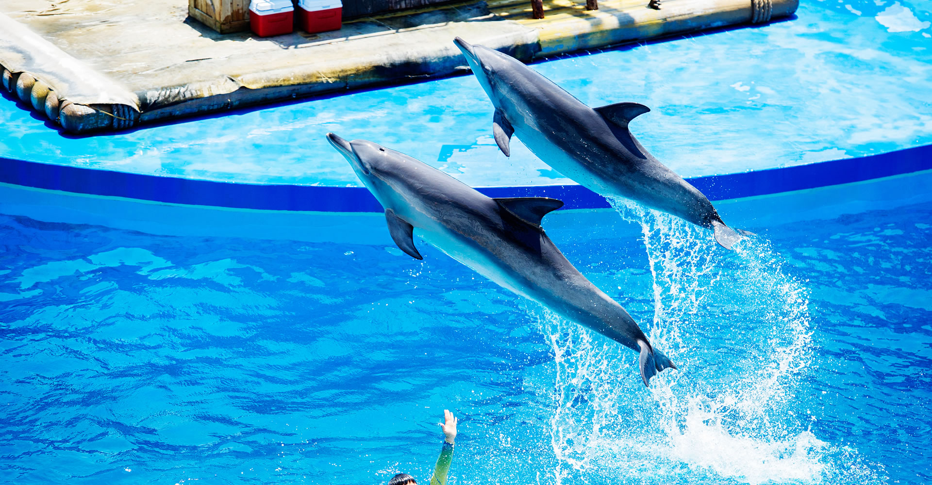 香港海洋公園