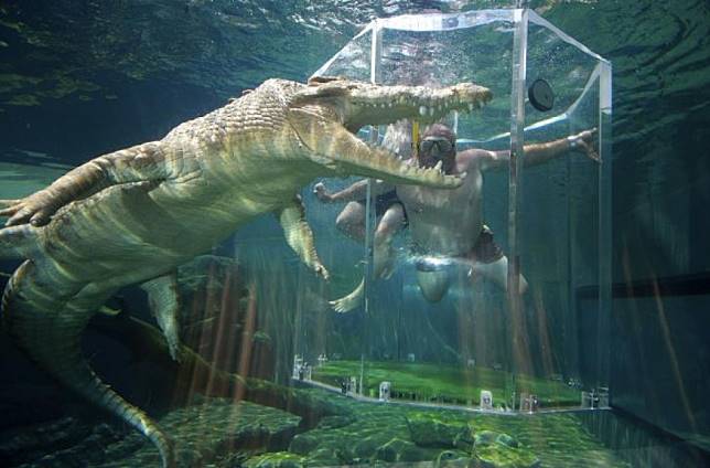 達爾文鱷魚主題公園