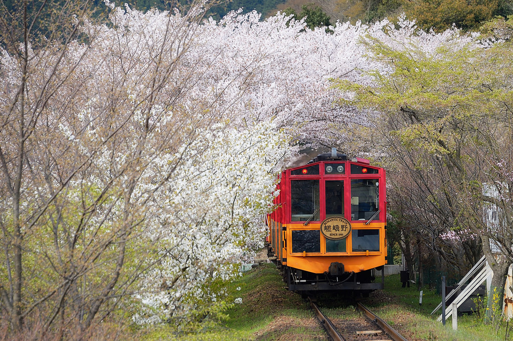 京都4大在地電車路線推薦