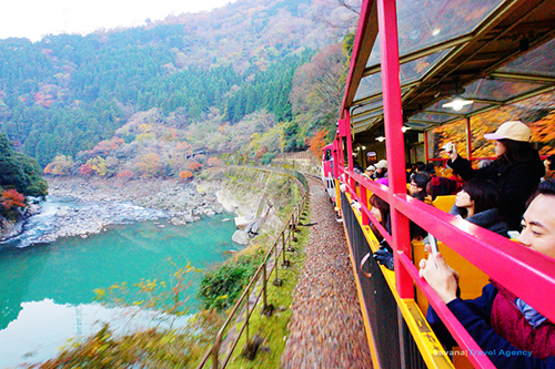 嵐山嵯峨野トロッコ列車3