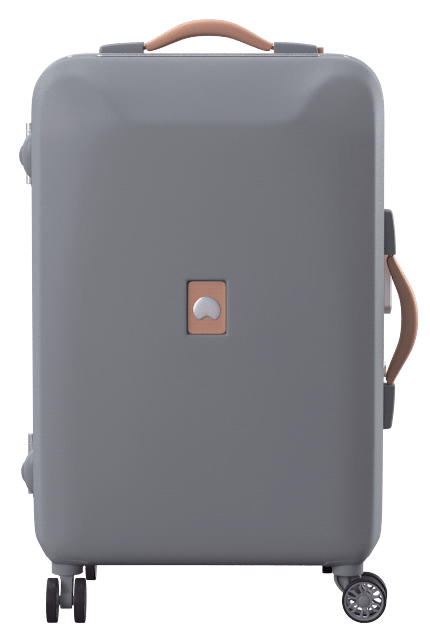 DELSEY PLUGGAGE