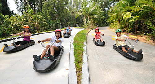 Skyline Luge Sentosa