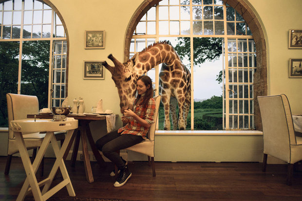 Giraffe Manor