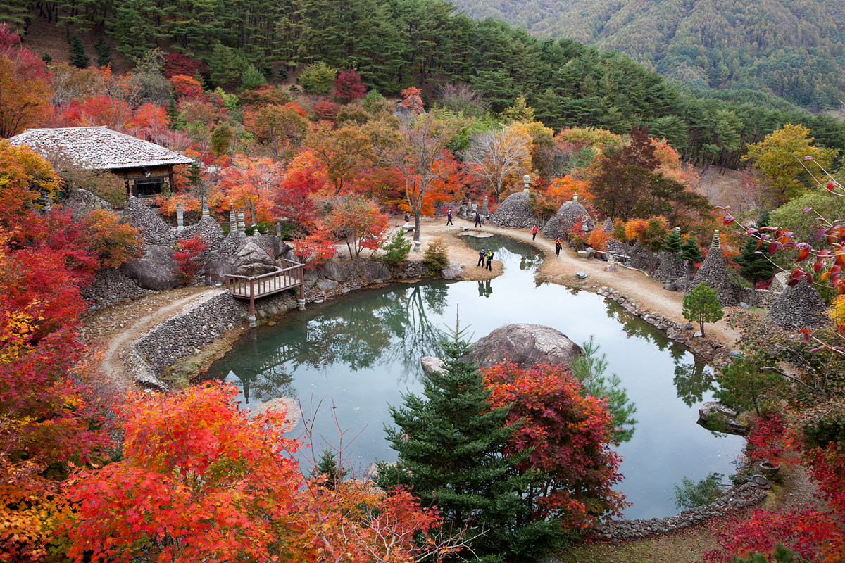 無等山 紅葉