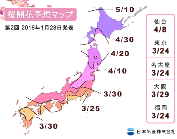 日本櫻花速報00