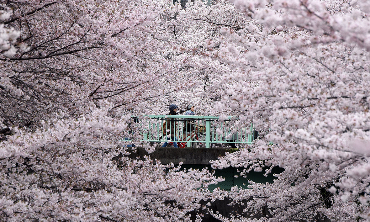 上野公園