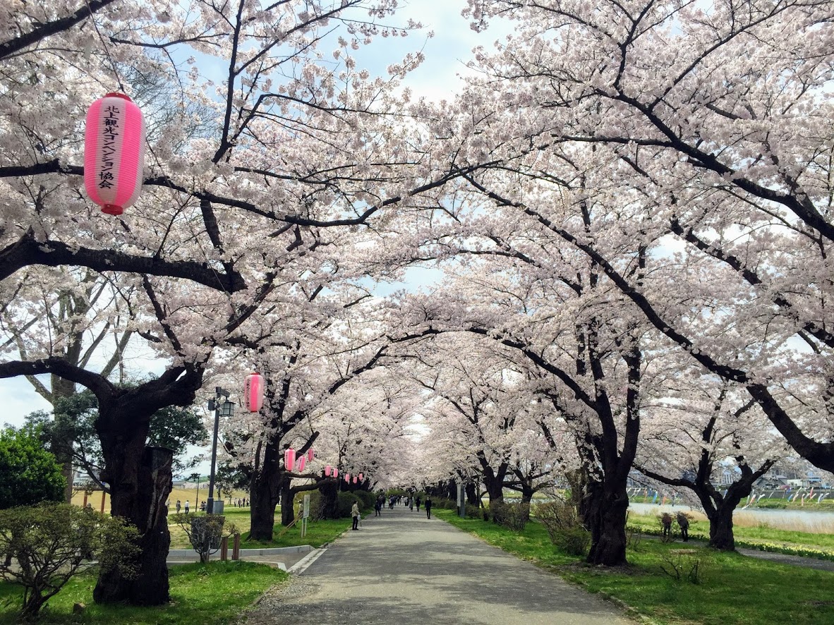 北上展勝地