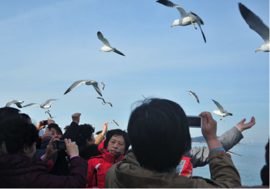 月尾島08