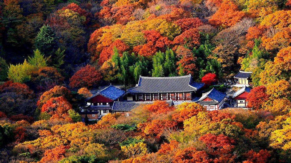 梵魚寺