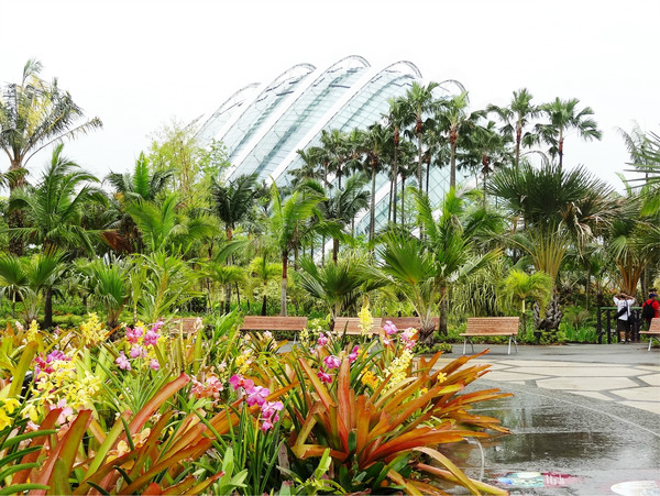 新加坡濱海灣濱海灣花園