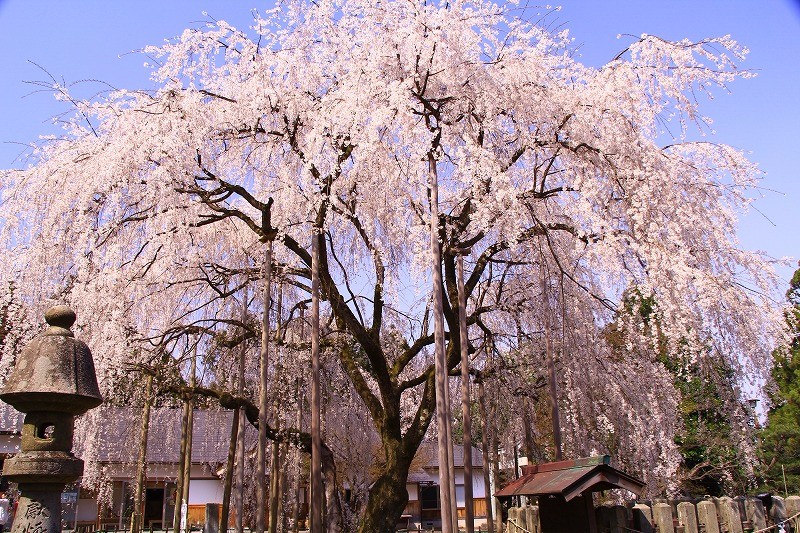 足羽神社