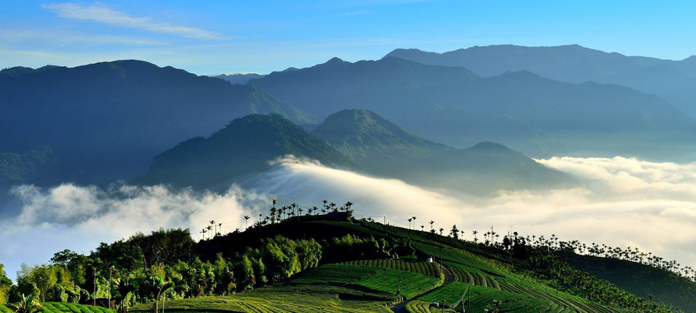 台灣-台灣自由行-阿里山-馬拉松